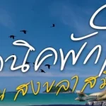 ปิคนิคพักใจ ณ สงขลาสมิหลา