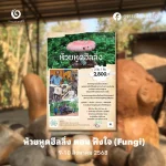 ห้วยหูดฮีลลิ่ง ตอน “ฟังใจ (Fungi)