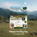 Phipun Healing Trip
