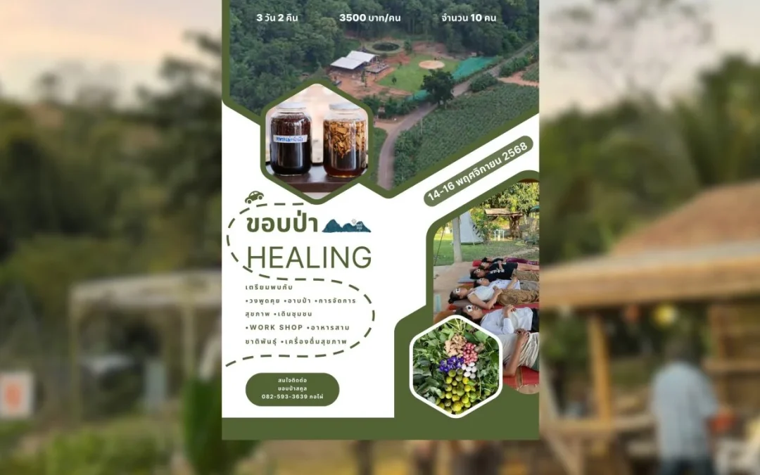 ขอบป่า HEALING