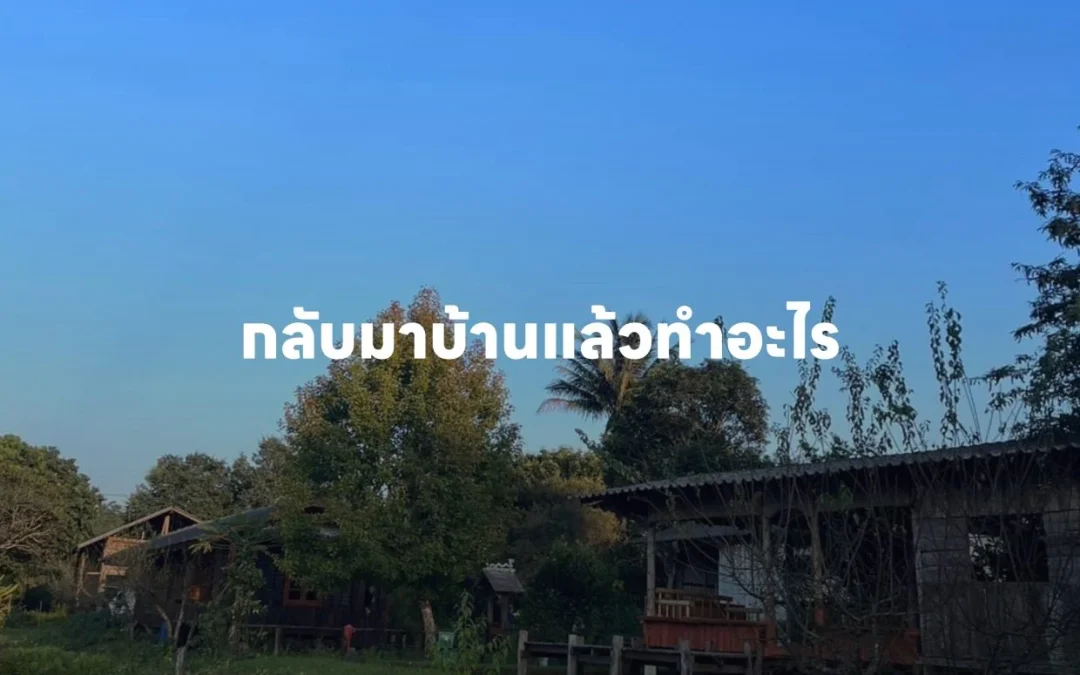 กลับมาบ้านแล้วทำอะไร